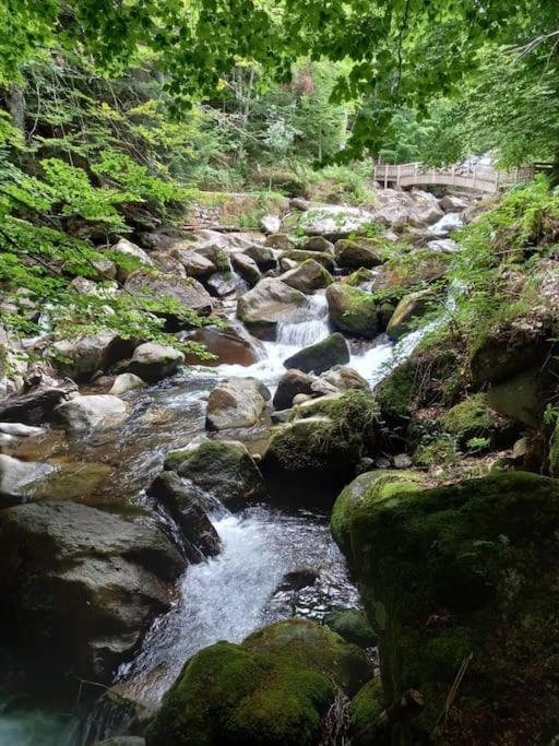 Gite L'Enclos O Rendez-Vous Roquefeuil-Pays De Sault- Avec Jardin Exterior foto